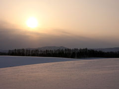 年越しは北海道で（その3、雪深い冬の美瑛を撮る）