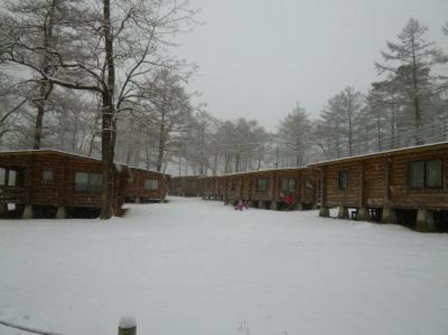 冬の軽井沢 スキーバカンス vol4 第4日目 美しい雪の軽井沢 降りしきる雪の中 東京へ帰る 軽井沢 長野県 の旅行記 ブログ By コトルさん フォートラベル 冬の軽井沢 スキーバカンス vol4 第4日目 美しい雪の軽井沢 降りしきる雪の中 東京へ帰る 軽井沢 長野県 の旅行記 ブログ By コトルさん フォートラベル