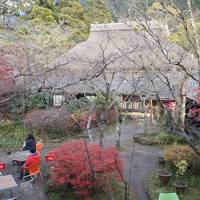 大分 / 由布院　こんな山の中に一大観光地