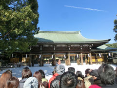 今年の初詣は明治神宮へ(2013年1月)