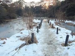 ここも白金台！　残雪の自然教育園（国立科学博物館付属）