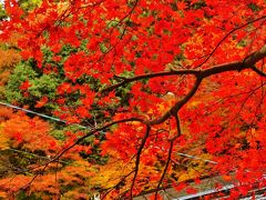 香嵐渓-3　紅葉に囲まれた香積寺に参詣　☆飯盛山の頂まで登って
