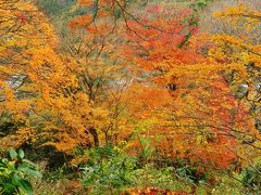 香嵐渓-4　飯盛山城址は森林公園に蘇えり　☆散りもみじに彩られて