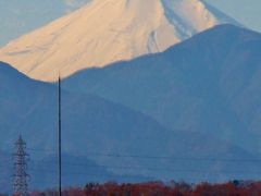 多摩丘陵-2　多摩動物公園の外周をめぐって　☆冠雪の富士山を仰ぐ