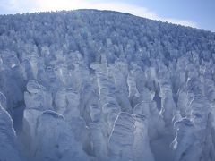 ２０１３年の旅初めは東北。蔵王の樹氷と温泉でほっこり。