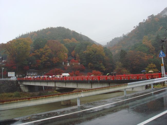 紅葉で有名な、湖東三山のバスツアーした時のものです。<br /><br />見事な紅葉を見せてもらいました。<br /><br />西明寺、金剛輪寺、百済寺、永源寺と巡りました。<br /><br />この赤い橋を渡るのが、永源寺です。境内でお抹茶をいただきながら、紅葉を鑑賞しました。<br /><br />どのお寺もそれぞれ良かったですが、写真が残っていたのが、２寺だけで残念。