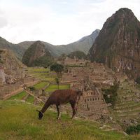 ペルー・メキシコの旅　その1　マチュピチュへの道のり