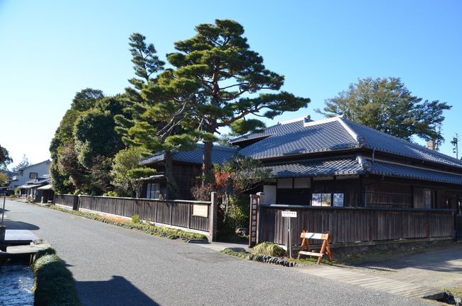 島田宿の旧跡、蓬莱橋、大井川のマラソンコースを歩いて島田宿大井川川越遺跡に到着しました。<br /><br />「箱根八里は馬でも越すが　越すに越されぬ大井川」と詠われた大井川を渡るには、川札を川会所で購入し、川越人足に手渡してから、人の肩や連台に乗って川越していました。<br />江戸幕府では江戸を防衛するために敢えて、架橋、渡し舟、馬による渡しを禁じて、川越人足による川の横断をしていました。<br /><br />当時の川越の街並みが復元（昭和４０年台に復元）されていましたが、雰囲気的には江戸時代ではなく昭和の風景でした。<br />