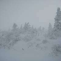2013年　楽しかった宮城蔵王　吹雪の樹氷めぐり