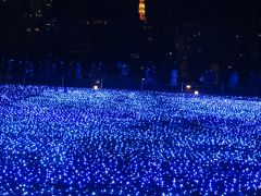 東京ミッドタウン  夜景のかなたに希望の灯り　☆クリスマス前の輝き　
