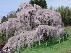 北茨城観光と福島の桜めぐり(2)