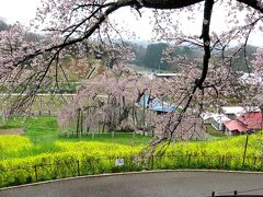 日本の花紀行・桜の名所をたずねて（過去の写真より）ー東北編