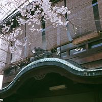 京の都・春爛漫　五条楽園から祇園界隈の色街をぶらぶら歩き旅