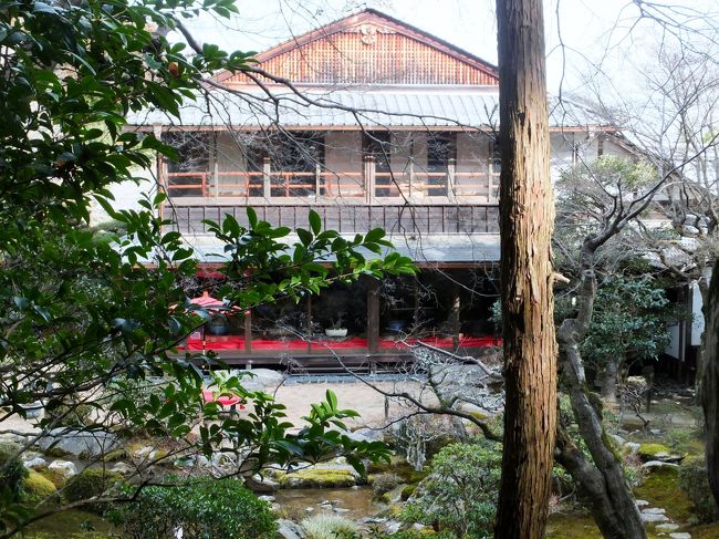 比叡山の表玄関大津市坂本。旧竹林院で盆梅展が始まったということで出かけてみました。