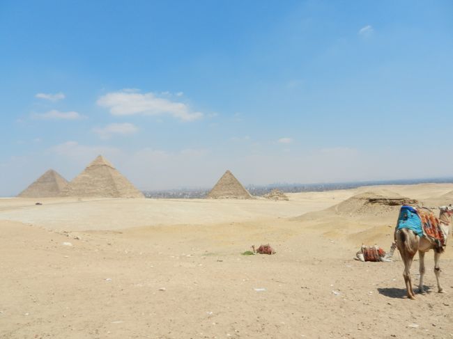 ピラミッド、遺跡、ナイル川と魅力あるエジプトにずっと夢抱いていました。仕事で海外に行く機会に恵まれマイルが貯まったのでついにエジプト旅行に出かけました。<br /><br />2011年は｢アラブの春｣と言われ、エジプトでも暴動が起き、果たして旅行に行けるのか？という情勢でもありました。約1年前から航空券を予約していたこともあり、情勢も落ち着いていた８月の夏休みを利用して1週間カイロからアブシンベルまで縦断しました。<br /><br />初めてのアフリカ大陸は、思い出深い旅となりました。