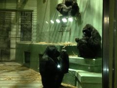 春よ来い 、早く来い、そんな気持ちで東山動物園散策です。