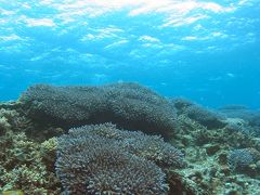 曰く因縁の慶良間　初阿嘉島はやっぱり曇天