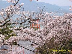 日本の花紀行・桜の名所をたずねて（過去の写真より）ー西日本編