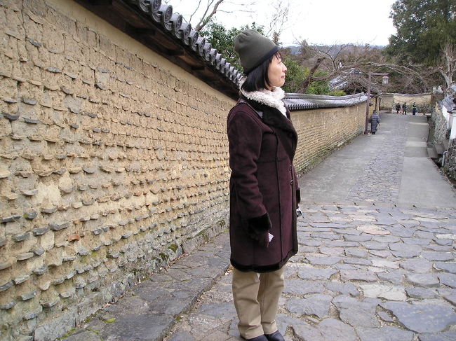 <br /><br />　どなたかの旅行記で、奈良の土塀について知り、なぜか心惹かれました。<br />　奈良に行くのなら、是非この目で見てみたい……。<br /><br />　それなのに、果たしてどの辺りにあるのかしらと、ぼんやり確かめもせず訪れたのです。<br />　それが、意外な形で自分の前に現れたので、しばし我を忘れて眺めていました。