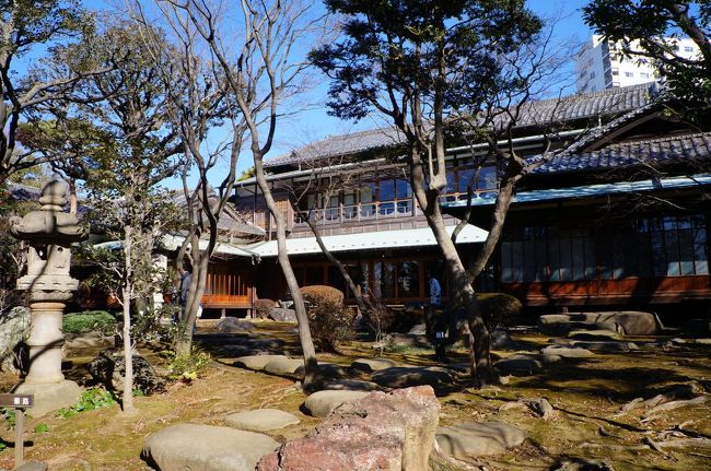 旧山手通りの代官山のヒルサイドテラスの裏に、前から気になっていた建物がありました。<br />以前は渋谷会議所と看板が出ていた建物ですが、純和風の建物からは会議所という名称がどう考えても似合わない。<br />一体何の建物だろうと、車で通るたびに思っていました。<br />その建物が最近公開されていることを知り、見に行きました。<br /><br />旧朝倉家住宅、大正時代にこの地で米穀商を営み、東京府議会議長や渋谷府議会議長を歴任した朝倉虎次郎氏によって、大正8年に建てられた住宅だったんですね。戦後に中央馬事会に売却され、農林水産省、経済企画庁と所有者が変わり、最近まで渋谷会議所として使われていたそうです。<br />この朝倉家、今回初めて知ったのですが、裏側にあるヒルサイドテラスを運営する会社の社長の、先代の住宅だったんですね。