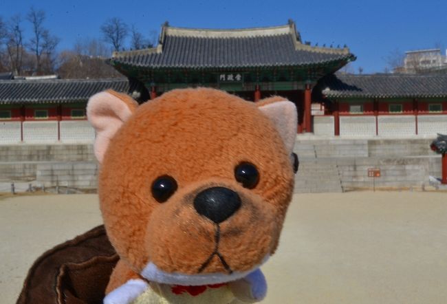 しばふの目から見た極寒ソウル3泊4日。お腹がいっぱいだワン！