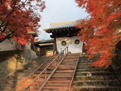 京都の紅葉　2012～曼珠院門跡～
