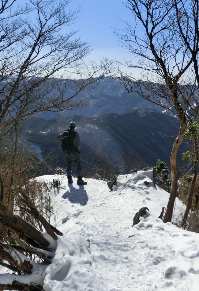 ご訪問をありがとうございます。<br /><br />高見山に初めて登りました。<br />先日登った山で出会った登山者さんに、樹氷がきれいだよと教えていただいた、厳冬期が最も魅力的な山です。<br /><br />南アルプスに双児山（ふたごやま）というのがあって、お相撲さんの名前みたいだねってウケてたのですが、高見山は本物の元大相撲力士さんと同じ名前。<br />ハワイ出身の、初の外国人力士でしたよね。<br /><br /><br />高見山<br /><br />標高　　　　1248m<br />累積標高差　878m<br />歩行距離　　約8.5?<br /><br /><br />2013年　登山記録<br /><br />1/1愛宕山<br />1/6綿向山<br />1/12金毘羅山<br />1/31高見山<br />