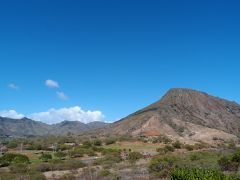 ハワイオアフ島滞在　　ココヘッド(コヘレペレぺ)登山　　