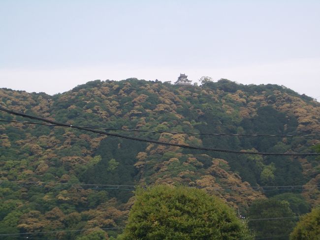 山口県では岩国を散策。