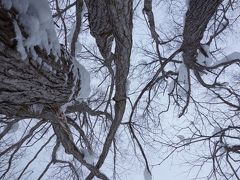 大雪山旭岳スノーウォーキング満喫。北海道東川町にて。