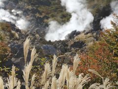 箱根/仙石原ぐるり旅【2】～荒涼とした大地に白煙が昇る火山地帯～大涌谷