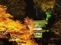 駆け足でライトアップ堪能～石山寺編～。