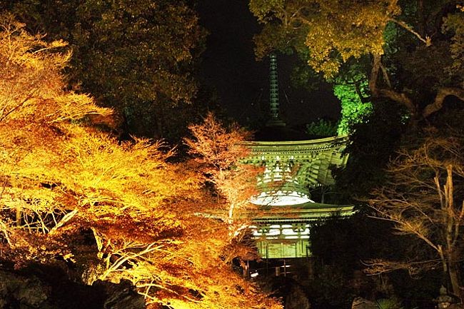 駆け足でライトアップ堪能 石山寺編 石山寺周辺 滋賀県 の旅行記 ブログ By まいまいさん フォートラベル