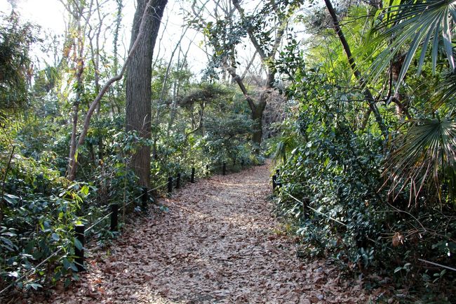 朝、お天気がいいですね～!<br />日中は４月の陽気になるとか・・・。<br /><br />今日はどこ行く？？？<br />用事があるのでお出掛けします。<br />お出掛けついでにどっか行こうか^^<br /><br />夫「港区の自然教育園行かない？」<br />私「いいけど・・・。帰りにダ ミケーレでピザ食べる？」<br />夫「いいよ。」<br />となりました。<br /><br />自然教育園の正式名称は“国立科学博物館付属自然教育園”です。<br /><br />夫が生まれ育ったのは自然教育園のすぐ近くです。<br />子供の頃、自然教育園でザリガニ捕りをしたそうです。<br />行きは正門から入り、帰りは塀を乗り越えて帰っていたそうな・・。<br />ここは、都会っ子の遊び場だったんだなぁ。<br />自然豊な田舎で育ち小川でザリガニ捕りした私には不思議である～。<br /><br />自然教育園散歩のあとは、“アンティーカピッツェリア ダ ミケーレ恵比寿店”で夕食。<br />いつも長蛇の列が出来ているナポリピッツァのお店。<br />予約の電話をしましたが、満席とのこと。。。<br />予約席は１０席ほどとのことで、開店時間に行ってみることにしました。<br /><br /><br /><br /><br /><br />★“国立科学博物館付属自然教育園”★<br />　　http://www.ins.kahaku.go.jp/<br /><br />★“アンティーカピッツェリア ダ ミケーレ恵比寿店”★<br />　　http://damichele.jp/menu/<br /><br /><br /><br />