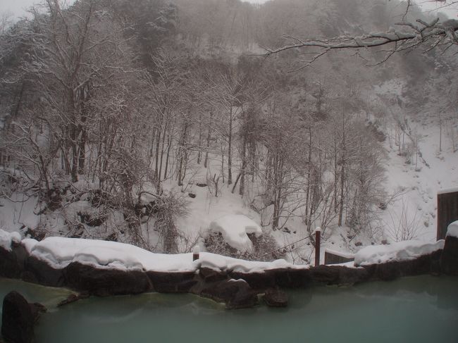 雪が降る中、秘境の温泉・奥鬼怒川温泉郷・加仁湯に行ってきました！<br />雪は栃木だけでなく、東京も降っていてびっくりしました！<br />アクセスは、大宮から東武特急スペーシアで一直線でした！