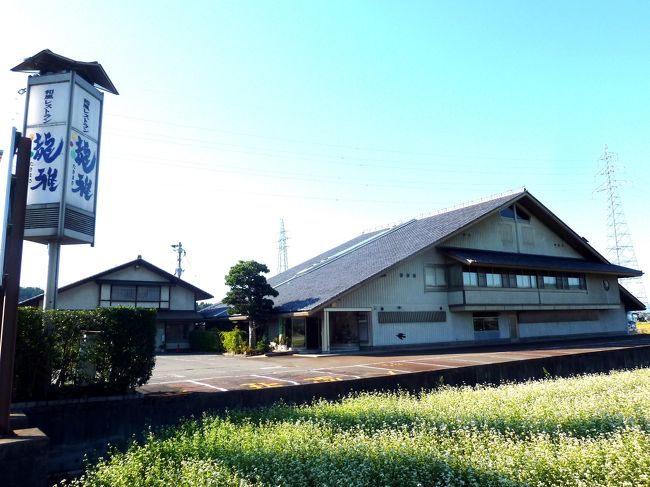 武生の”紫式部公園」の東側、武生ICを降りた所のある、”和風レストラン龍雅”で昼食。<br /><br />龍雅の前は蕎麦畑が広がっており、畦道に咲き始めた赤いコスモスとは対象的な、可憐な白い花が満開を見せていた。<br /><br />畑の脇に「福井県特別栽培農産物認証制度生産圃場」と長い名称の案内板が立っていた。<br /><br />その蕎麦があしらわれた昼食。<br /><br />