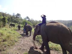 タイ　エレファントホーム　ゾウさんと夢の一日