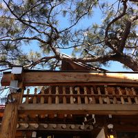 真冬のソウル おしゃれ女子を目指せ!?の旅