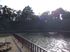 周辺からの名古屋城