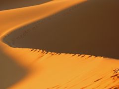 モロッコ周遊③　アトラス山脈越え～サハラ砂漠の夜明け