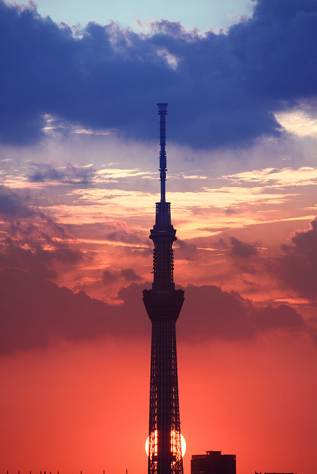 いつも我が家のベランダから見えている東京スカイツリー！日々の天気によってさまざまな顔を見せてくれます。<br />そのスカイツリー天望デッキ入場券が当たりました(∩_∩)<br />JAL様有り難うございます。JALはオフィシャルパートーなのだと、入場券と引き換えた時に知りました。<br />一般のお客様の長蛇の列のなか、な！なんと！案内の女性の方から、ツリーの説明を受けながら直接、搭乗ゲートまで直行です。（もちろん事前にWEB予約を入れておきました）<br />東京スカイツリーまでは、我が家から約８km。チンタラチンタラ２時間のお散歩コースです。<br /><br />スカイツリー百変化・・・日々変化する空模様とのコラボを記録しています。<br />https://4travel.jp/travelogue/10757056