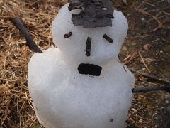 万博公園、梅と雪とアンパンマン