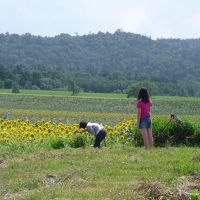 北海道：何度でも訪れたい場所あちらこちら（その1：帯広・富良野 2009）