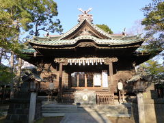 今年も荏原神社の寒緋桜は遅れ気味　２０１３