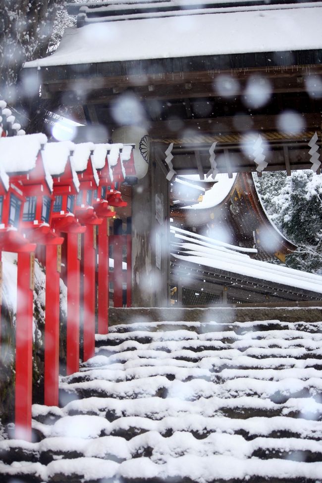 雪の京都は，写真を趣味にしている私にとっては憧れです。<br />ただ残念ながら，京都市内はあまり雪が積もりません。<br />積もったとしても，あっという間に消えてなくなります。<br /><br />今年もチャンスをうかがっていたところ，どうも翌朝積もりそうだという情報が。<br />どこに行こうか悩みましたが，積雪量が多そうな北部がいいだろうということで貴船・鞍馬方面へ。<br />これが正解！素敵な雪景色を堪能することができました。<br /><br />まずは貴船編の旅行記をアップします。