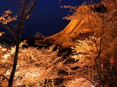 和歌山・紀三井寺・動鳴気峡