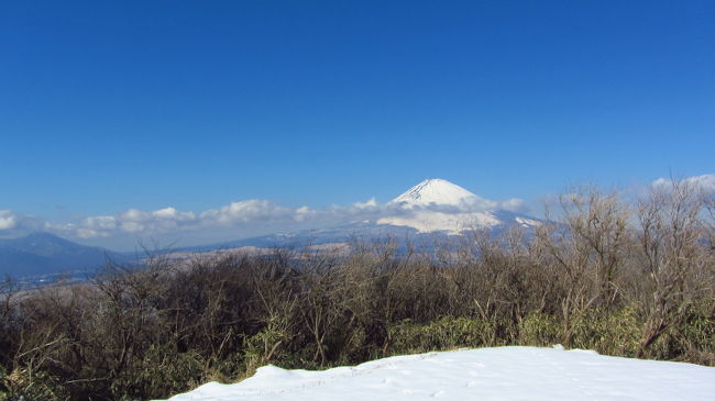 この時期、奥多摩も丹沢も登山道は雪。当然、無雪期の登山靴では登れずアイゼン必携となる。<br />昨年、アイゼンは用意したものの、この雪の残る時期に山に行くことができず、使わず終いになってしまった。<br />今年こそ雪の登山道も攻略したいと思い、まずは比較的優しい山から練習！と意気込んでいたところで風邪でダウン･･･。<br />2月になってようやく準備が整い、箱根外輪山の丸岳を目指した。<br />この丸岳は金時山から尾根伝いに行くことができ、道中の眺望は、富士山、金時山、芦ノ湖、丹沢山系、駿河湾と豪華絢爛。<br />初アイゼンの練習場所としては格好だ。<br /><br />常に富士山を拝みながらの絶景雪山ハイクとなった。