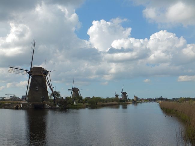 オランダ・ベルギー花の旅　～デルフト・キンデルダイク～