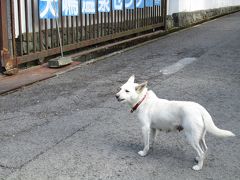 2013冬暇 大阪帰省(1)関空から犬鳴山温泉につかり