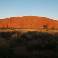 オーストラリアでの休暇（ウルル・カタジュタ、駱駝観光、エアーズ・ロック・リゾートで滞在）
